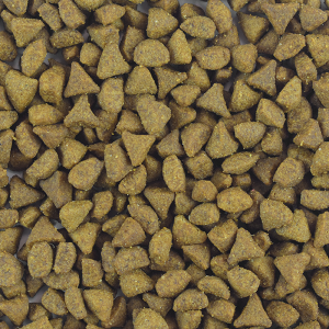 PERFECT SENSE ALIMENTO SECO PREMIUM P/GATO