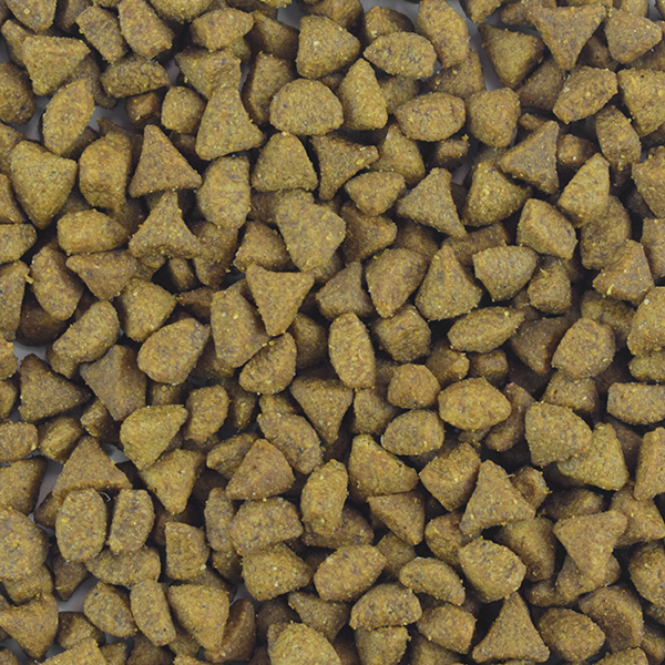 PS1872_004 PERFECT SENSE ALIMENTO SECO PREMIUM P/GATO