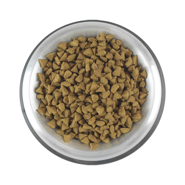 PS1872_006 PERFECT SENSE ALIMENTO SECO PREMIUM P/GATO