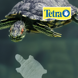 REPTOGUARD PARA REPTILES Y ANFIBIOS