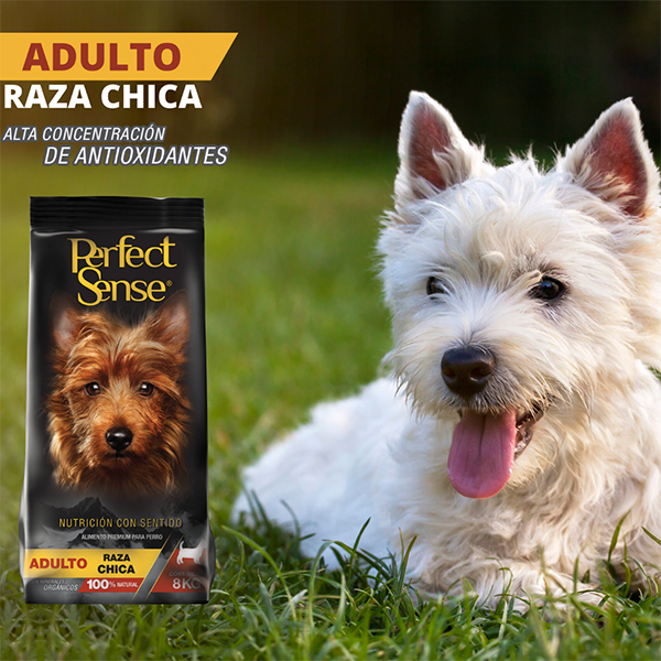 PERFECT SENSE ADULTO SB 3KG y 8KG