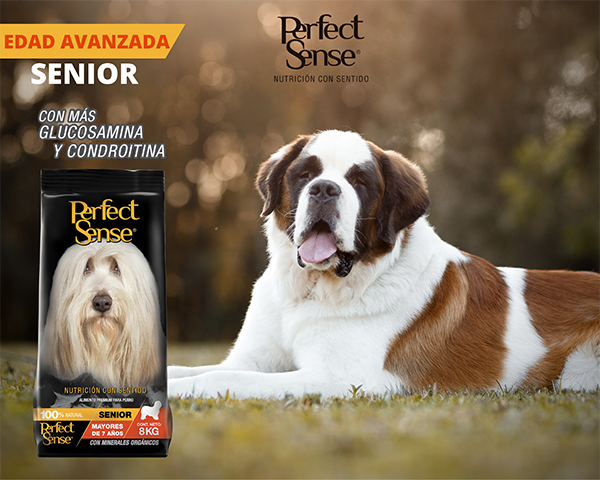 PERFECT SENSE ALIMENTO SECO P/PERROS SENIOR