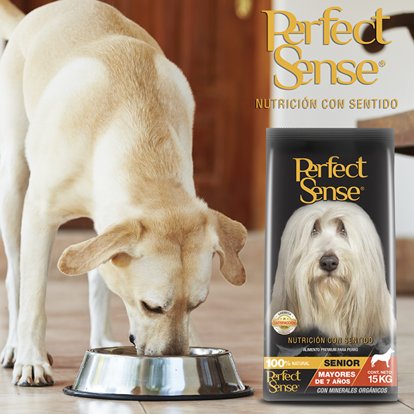 PERFECT SENSE ALIMENTO SECO P/PERROS SENIOR