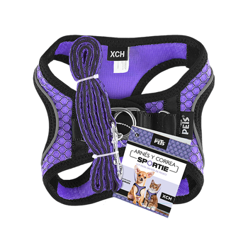 SET ARNES Y CORREA SPORTIE XCH VIOLETA