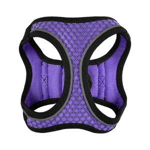 SET ARNES Y CORREA SPORTIE XCH VIOLETA