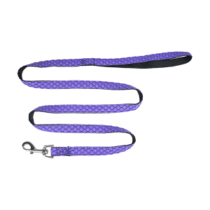 SET ARNES Y CORREA SPORTIE XCH VIOLETA