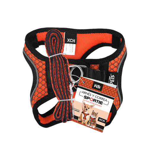 SET ARNES Y CORREA SPORTIE XCH NARANJA