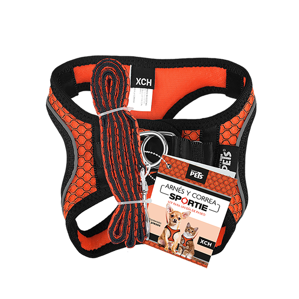 SET ARNES Y CORREA SPORTIE XCH NARANJA