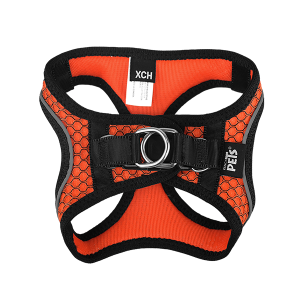 SET ARNES Y CORREA SPORTIE XCH NARANJA