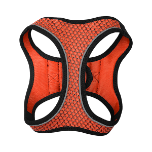 SET ARNES Y CORREA SPORTIE MED NARANJA