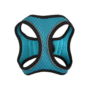 SET ARNES Y CORREA SPORTIE XCH AZUL