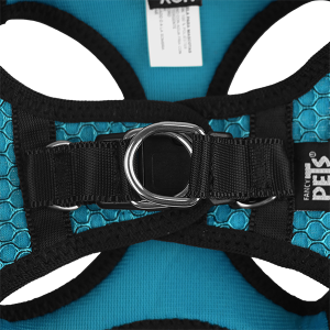 SET ARNES Y CORREA SPORTIE XCH AZUL