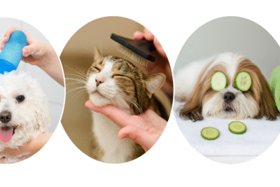 COLONIA DE USO PROFESIONAL LOVELY 1 L.