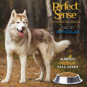 PERFECT SENSE ADULTO RAZAS MEDIANAS | GRANDES | GIGANTES