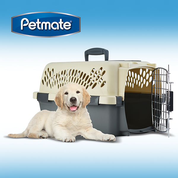 TRANSPORTADORA CH PET TAXI