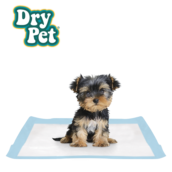 PAÑALES XCH P/PERRO - 12 PZ