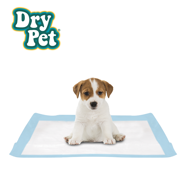 PAÑALES CH P/PERRO - 12 PZ