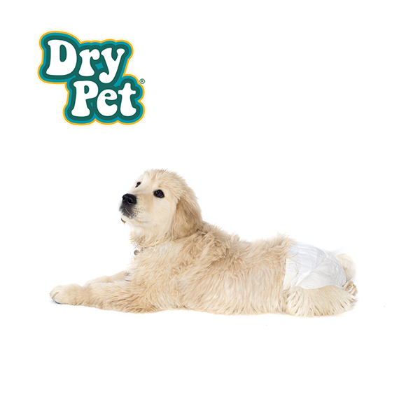 PAÑALES CH P/PERRO - 12 PZ