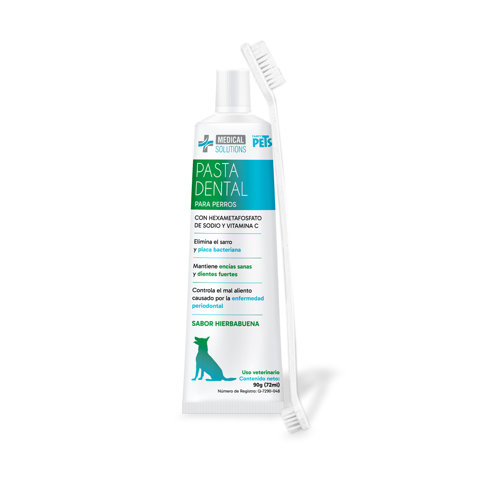 MS KIT DENTAL ANTISARRO P/PERROS