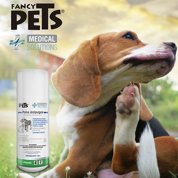 MS POLVO ANTIPULGAS 100 GRS