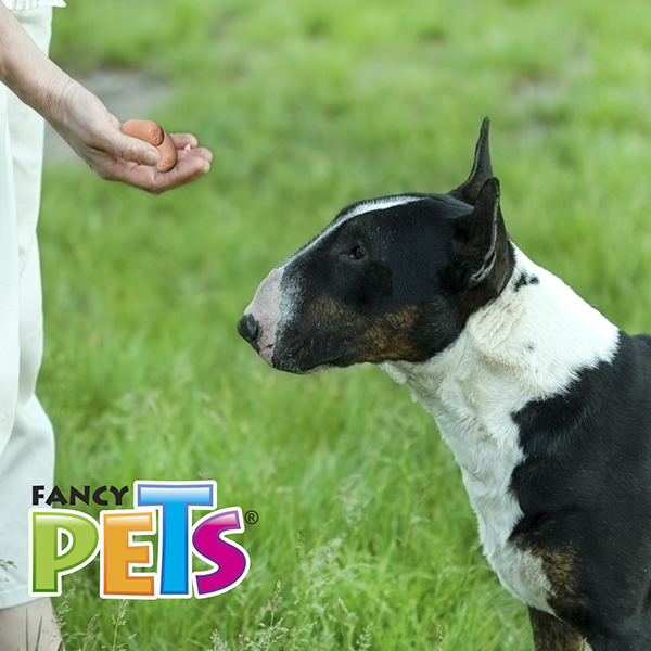 CARNAZA SUAVE DOGGIES 180 G