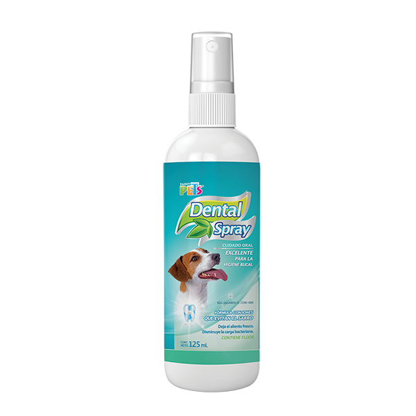 SPRAY DENTAL 125 ML