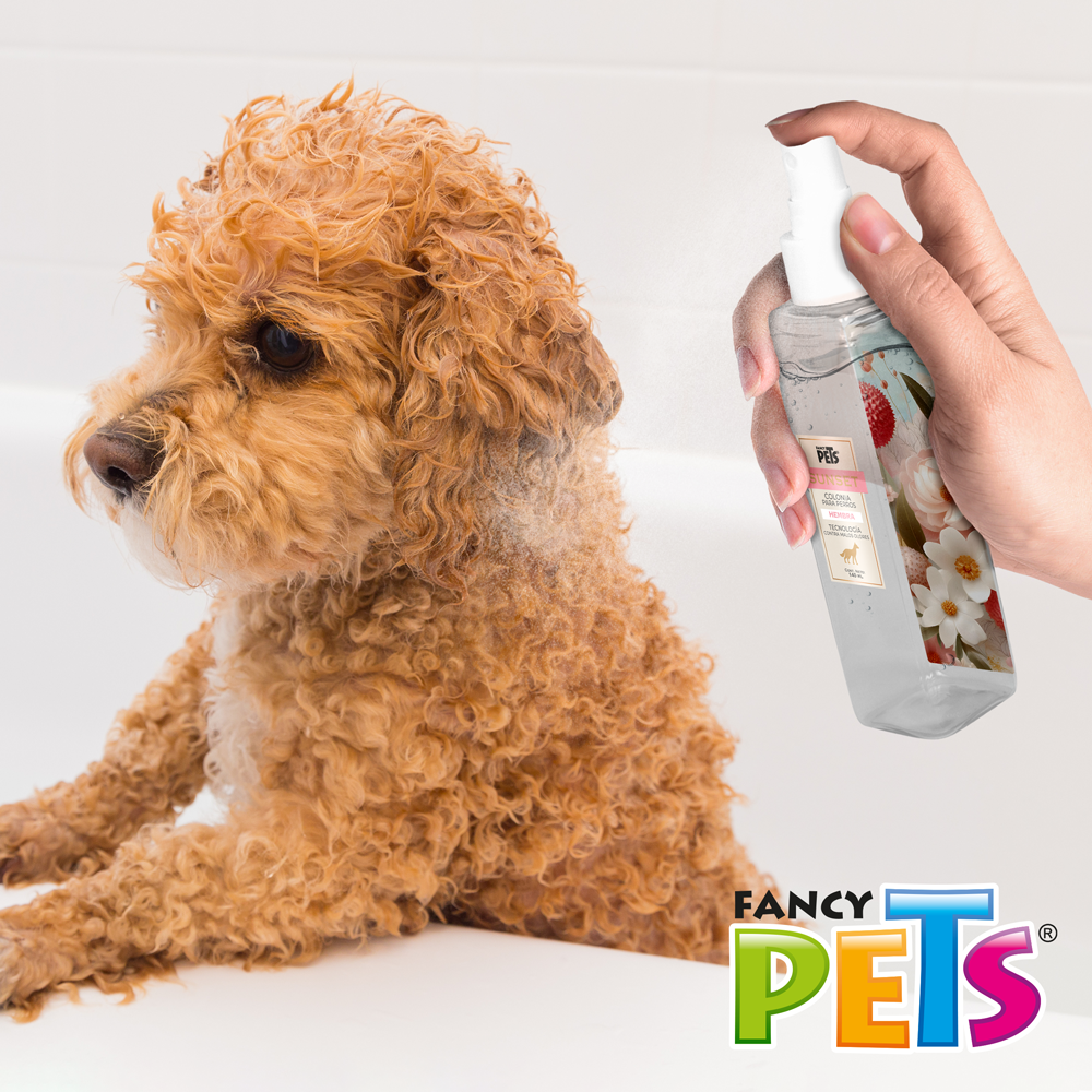 COLONIA PREMIUM P/ PERRO HEMBRA SUNSET 140 ML