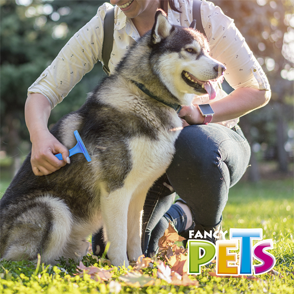 DESLANADOR RECTO FIJO GDE