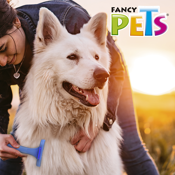 DESLANADOR RECTO FIJO CH