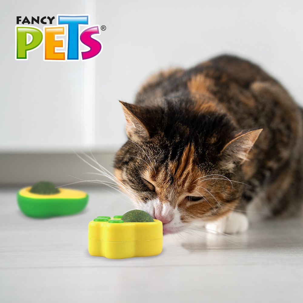 JUGUETES C/BOLA DE CATNIP P/GATO 2 PZAS