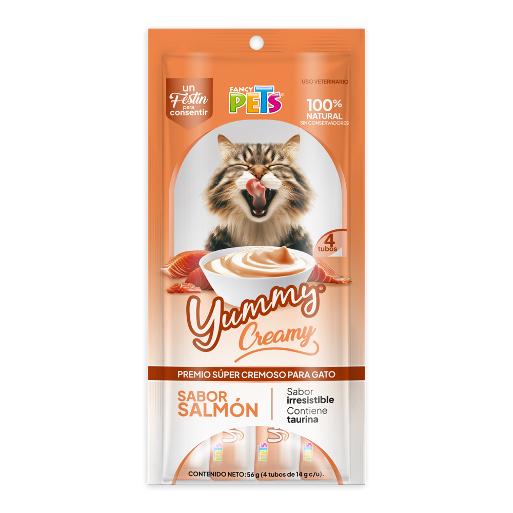 YUMMY CREAMY P/GATO SALMON