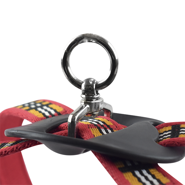 ARNES CHICO ROJO BERRYDOG