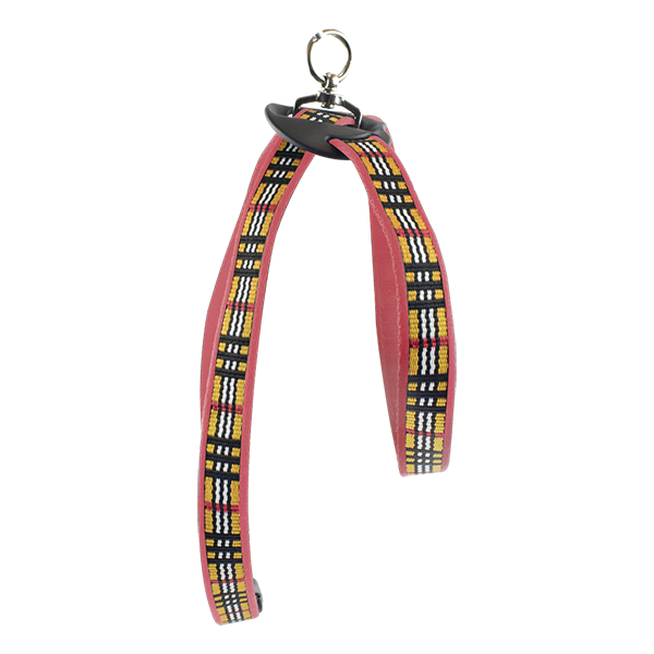 ARNES GDE ROJO BERRYDOG P/MASCOTA