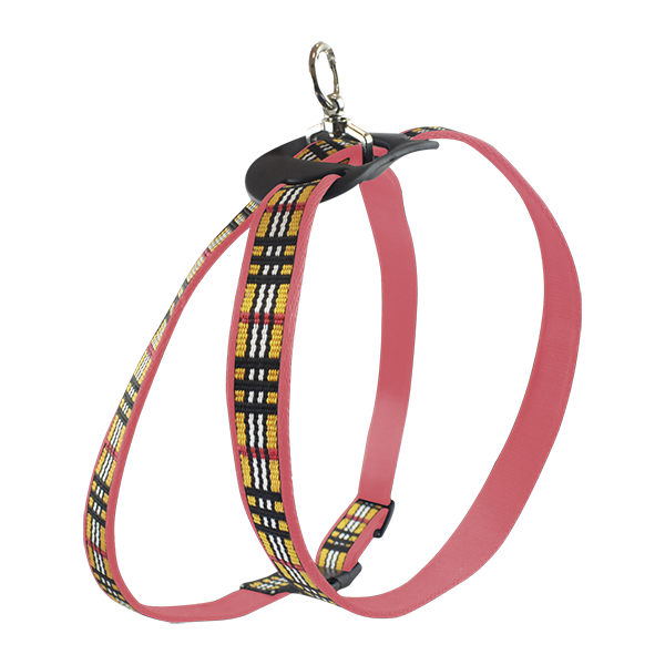 ARNES GDE ROJO BERRYDOG P/MASCOTA