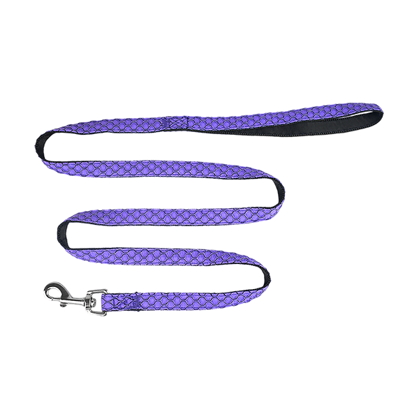 SET ARNES Y CORREA SPORTIE XCH VIOLETA