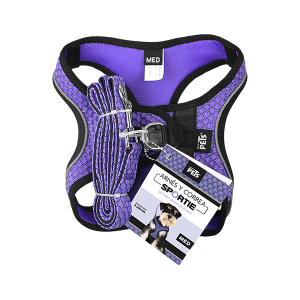 SET ARNES Y CORREA SPORTIE MEDIANA VIOLETA