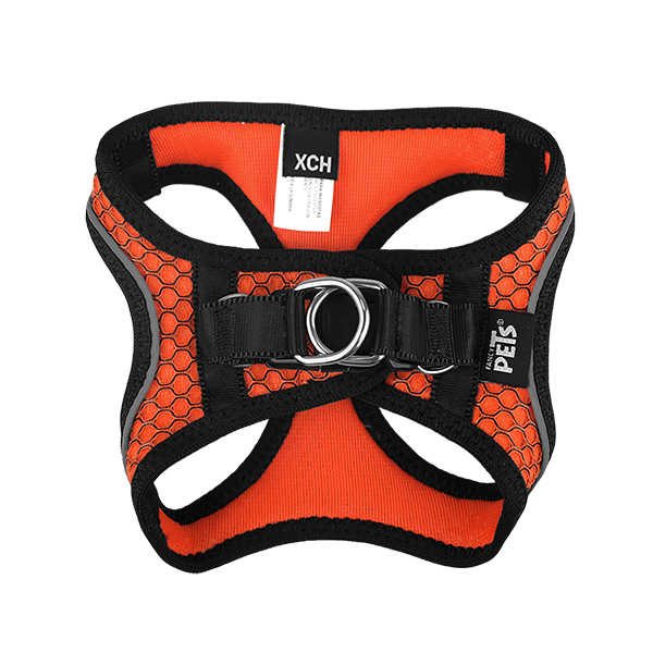 SET ARNES Y CORREA SPORTIE XCH NARANJA