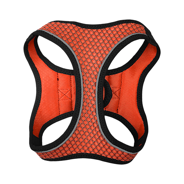 SET ARNES Y CORREA SPORTIE MED NARANJA