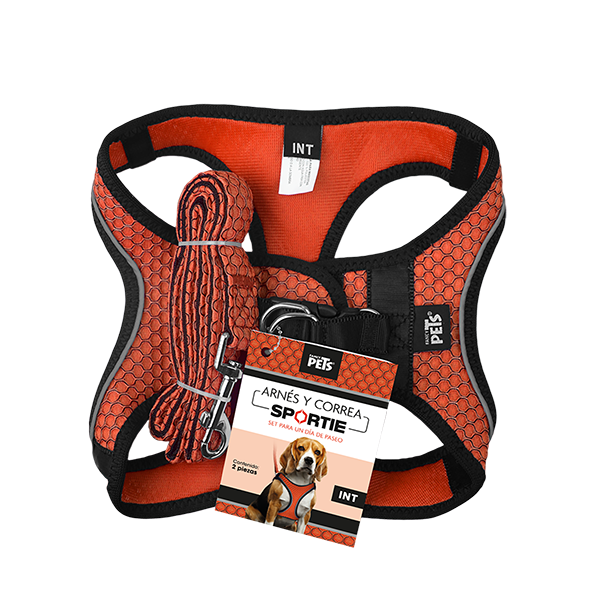 FL9556 SET ARNES Y CORREA SPORTIE INT NARANJA
