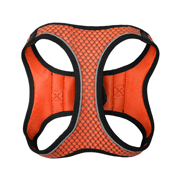 SET ARNES Y CORREA SPORTIE INT NARANJA