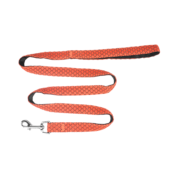 SET ARNES Y CORREA SPORTIE INT NARANJA