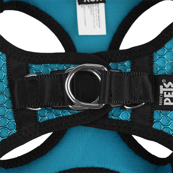 SET ARNES Y CORREA SPORTIE XCH AZUL