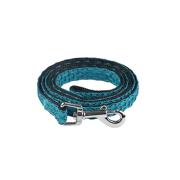 SET ARNES Y CORREA SPORTIE XCH AZUL