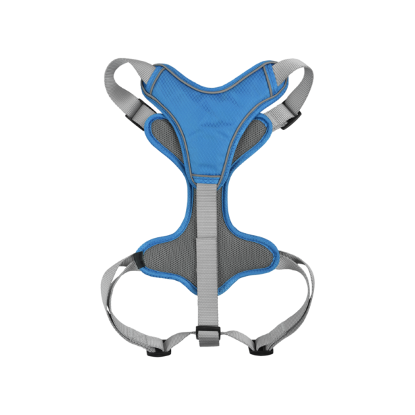 SET ARNES Y CORREA TRENDY CH AZUL