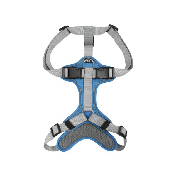 SET ARNES Y CORREA TRENDY CH AZUL