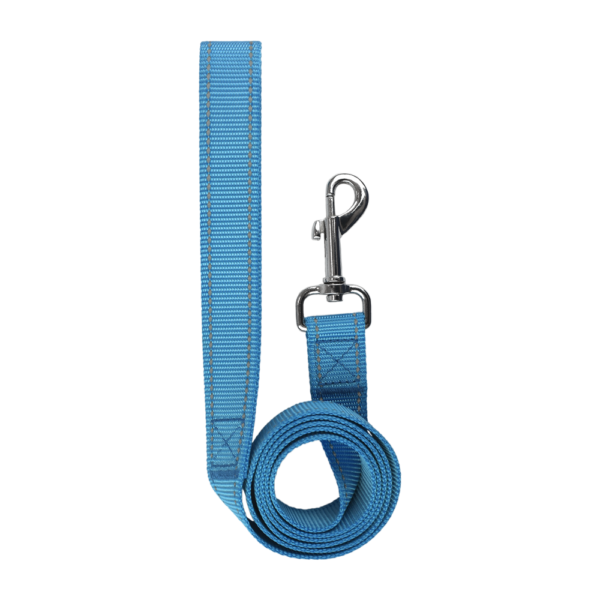 SET ARNES Y CORREA TRENDY CH AZUL