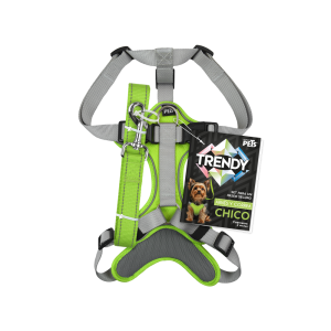 SET ARNES Y CORREA TRENDY CH VERDE