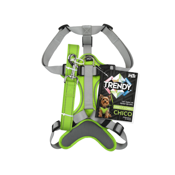 SET ARNES Y CORREA TRENDY CH VERDE