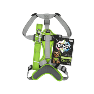 SET ARNES Y CORREA TRENDY CH VERDE