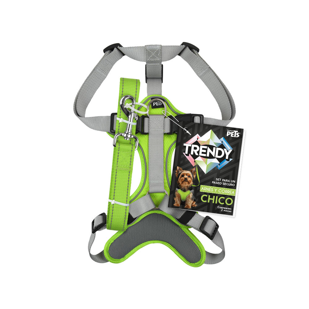 SET ARNES Y CORREA TRENDY CH VERDE